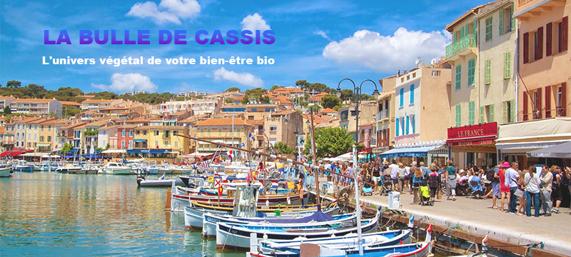 BIO VÉGÉTAL ACCESSOIRES TOILETTE